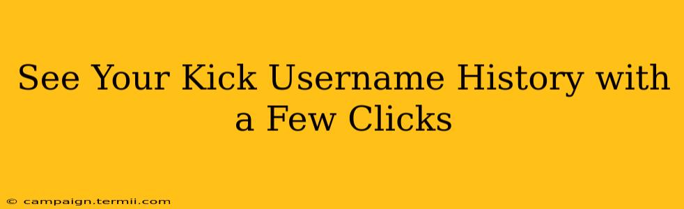 See Your Kick Username History with a Few Clicks