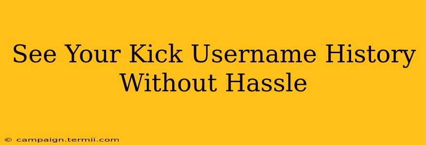 See Your Kick Username History Without Hassle