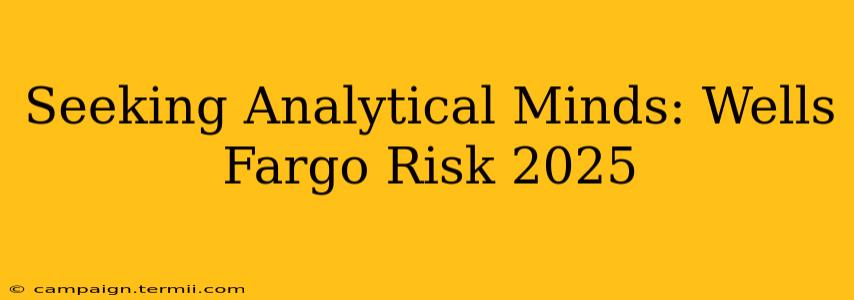 Seeking Analytical Minds: Wells Fargo Risk 2025