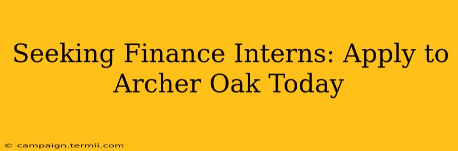 Seeking Finance Interns: Apply to Archer Oak Today