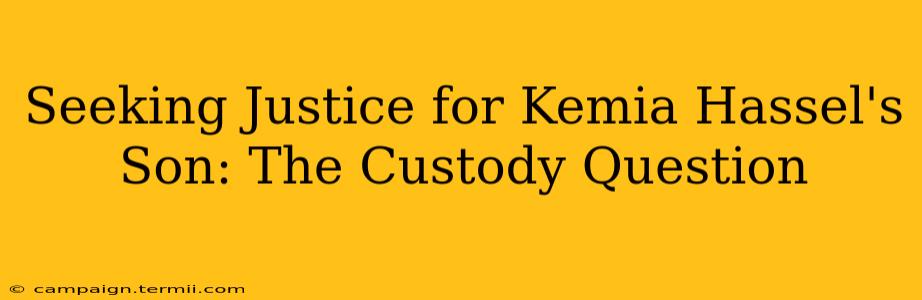 Seeking Justice for Kemia Hassel's Son: The Custody Question