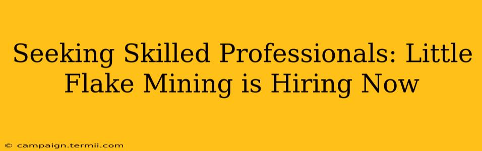 Seeking Skilled Professionals: Little Flake Mining is Hiring Now