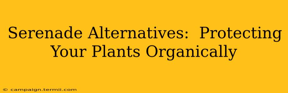 Serenade Alternatives:  Protecting Your Plants Organically