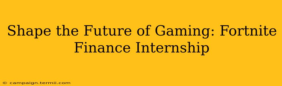 Shape the Future of Gaming: Fortnite Finance Internship