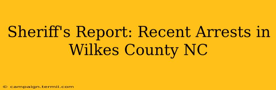 Sheriff's Report: Recent Arrests in Wilkes County NC