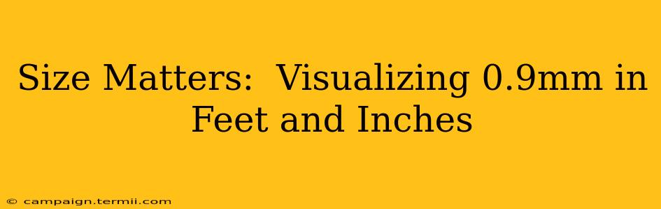 Size Matters:  Visualizing 0.9mm in Feet and Inches