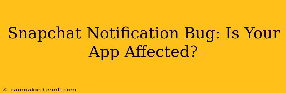 Snapchat Notification Bug: Is Your App Affected?