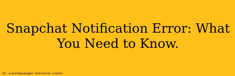 Snapchat Notification Error: What You Need to Know.