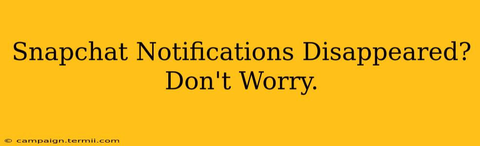 Snapchat Notifications Disappeared? Don't Worry.