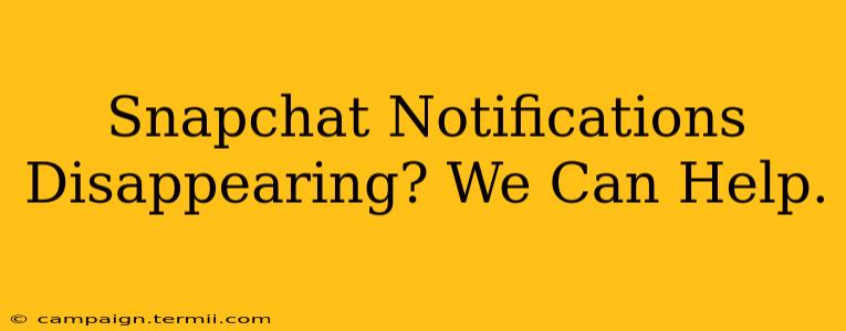 Snapchat Notifications Disappearing? We Can Help.