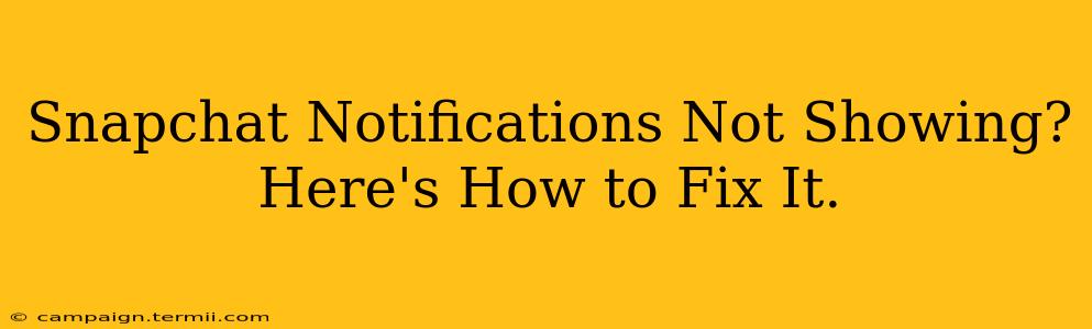 Snapchat Notifications Not Showing? Here's How to Fix It.