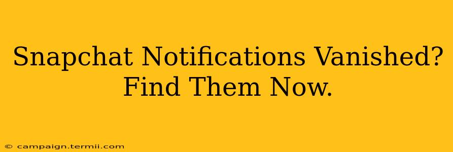 Snapchat Notifications Vanished? Find Them Now.