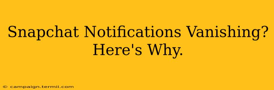 Snapchat Notifications Vanishing? Here's Why.