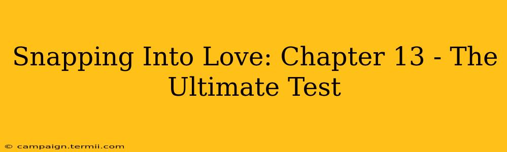 Snapping Into Love: Chapter 13 - The Ultimate Test