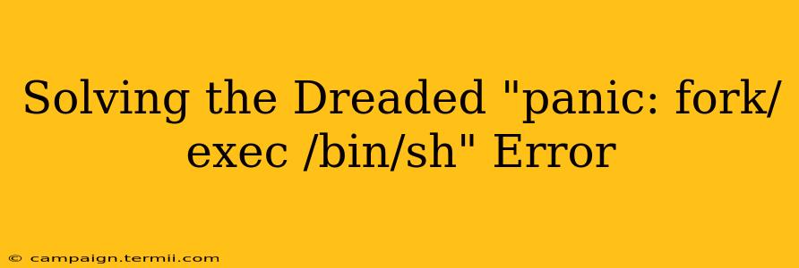 Solving the Dreaded "panic: fork/exec /bin/sh" Error