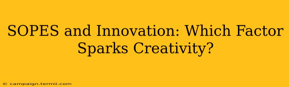 SOPES and Innovation: Which Factor Sparks Creativity?