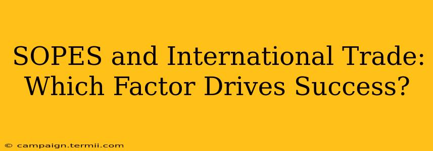 SOPES and International Trade: Which Factor Drives Success?