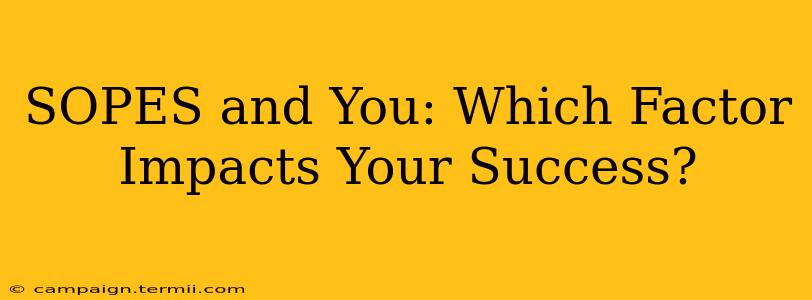 SOPES and You: Which Factor Impacts Your Success?