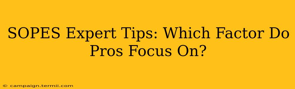 SOPES Expert Tips: Which Factor Do Pros Focus On?