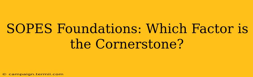 SOPES Foundations: Which Factor is the Cornerstone?