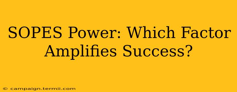 SOPES Power: Which Factor Amplifies Success?