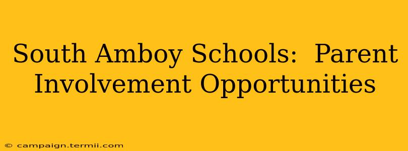 South Amboy Schools:  Parent Involvement Opportunities