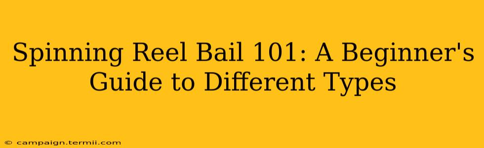 Spinning Reel Bail 101: A Beginner's Guide to Different Types