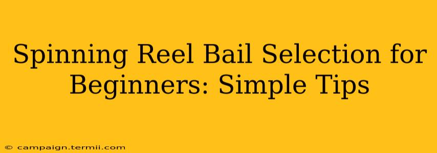 Spinning Reel Bail Selection for Beginners: Simple Tips