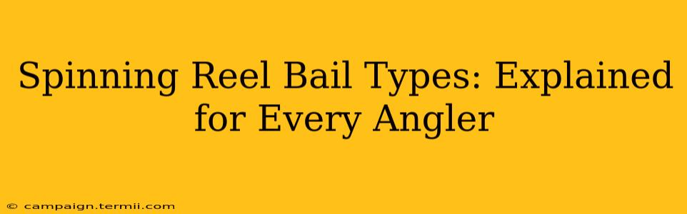 Spinning Reel Bail Types: Explained for Every Angler