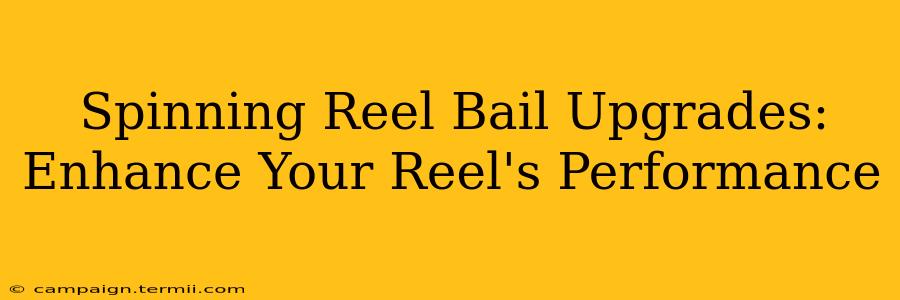 Spinning Reel Bail Upgrades: Enhance Your Reel's Performance