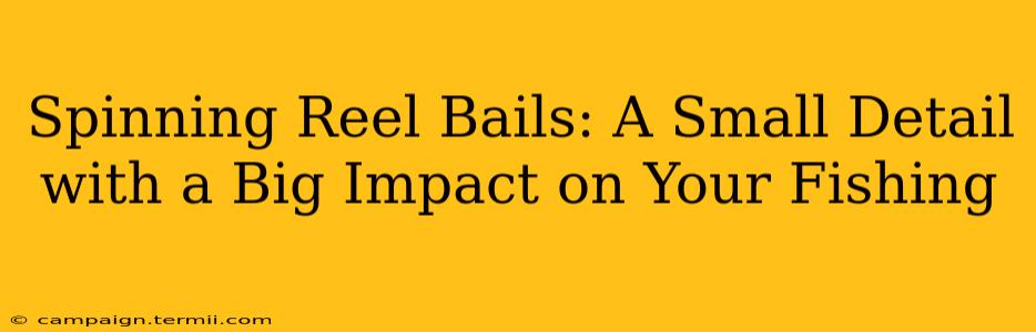 Spinning Reel Bails: A Small Detail with a Big Impact on Your Fishing