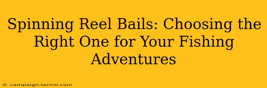 Spinning Reel Bails: Choosing the Right One for Your Fishing Adventures