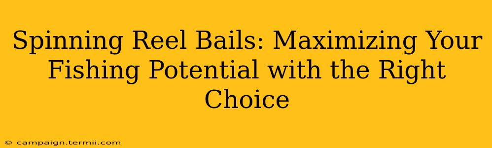 Spinning Reel Bails: Maximizing Your Fishing Potential with the Right Choice