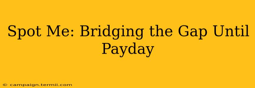 Spot Me: Bridging the Gap Until Payday