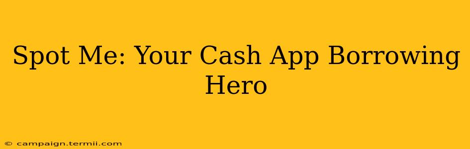 Spot Me: Your Cash App Borrowing Hero