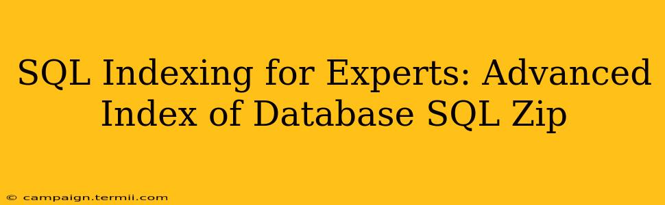 SQL Indexing for Experts: Advanced Index of Database SQL Zip