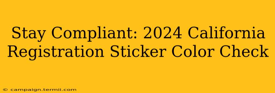 Stay Compliant: 2024 California Registration Sticker Color Check