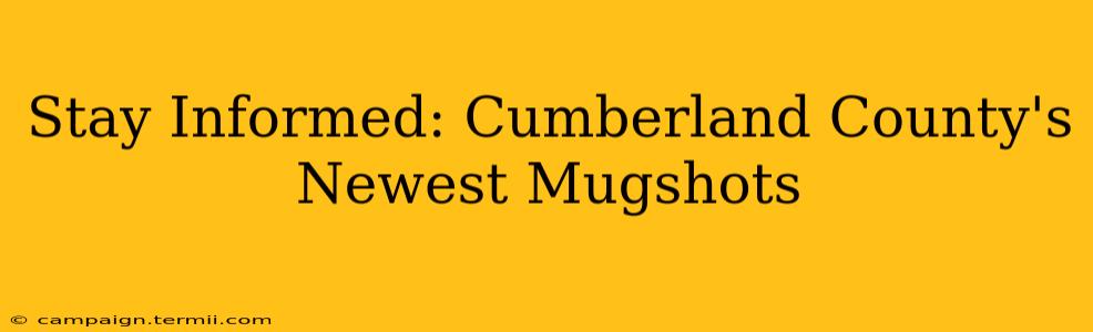 Stay Informed: Cumberland County's Newest Mugshots