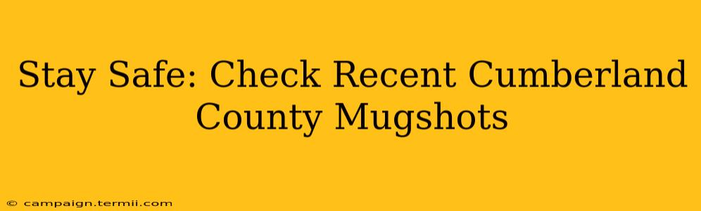 Stay Safe: Check Recent Cumberland County Mugshots