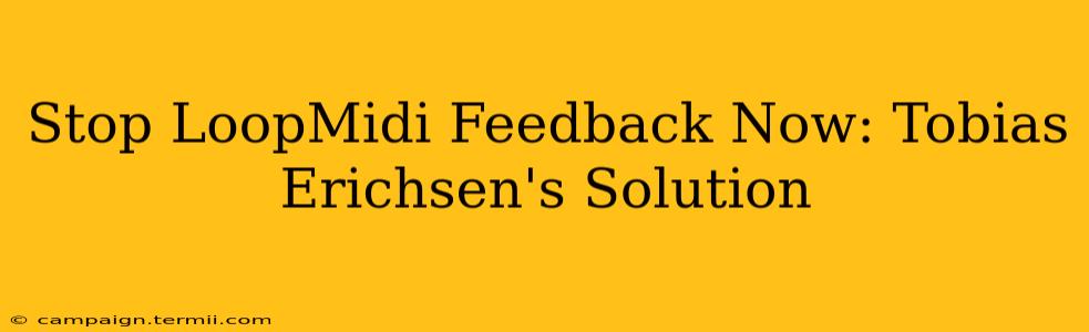 Stop LoopMidi Feedback Now: Tobias Erichsen's Solution