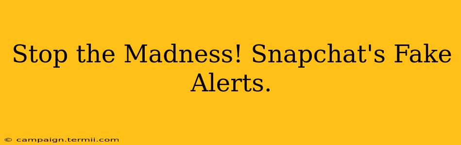 Stop the Madness! Snapchat's Fake Alerts.