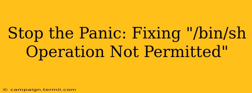 Stop the Panic: Fixing "/bin/sh Operation Not Permitted"