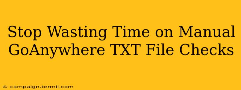 Stop Wasting Time on Manual GoAnywhere TXT File Checks