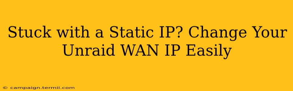 Stuck with a Static IP? Change Your Unraid WAN IP Easily