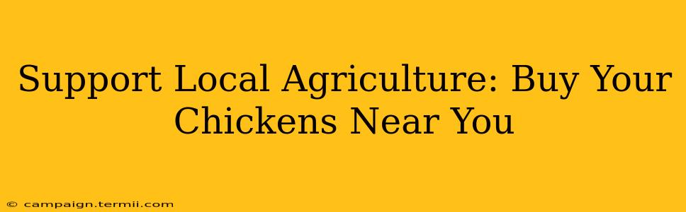 Support Local Agriculture: Buy Your Chickens Near You