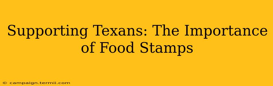 Supporting Texans: The Importance of Food Stamps