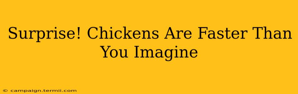 Surprise! Chickens Are Faster Than You Imagine