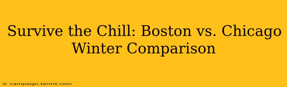 Survive the Chill: Boston vs. Chicago Winter Comparison