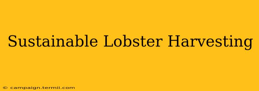 Sustainable Lobster Harvesting