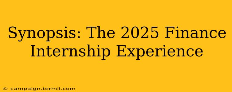 Synopsis: The 2025 Finance Internship Experience